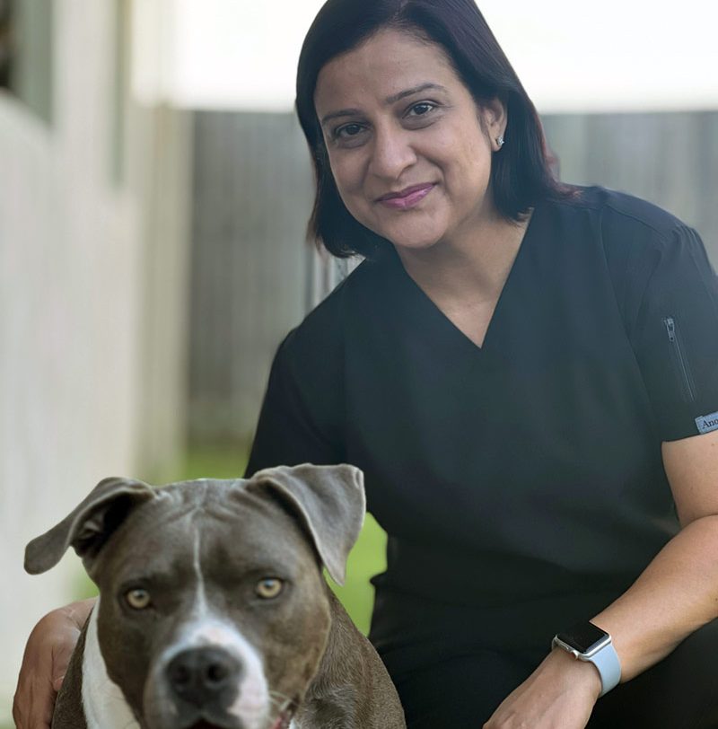 Dr Neetu Sharma