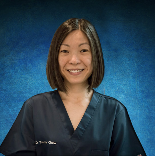 Dr Yvonne Chow