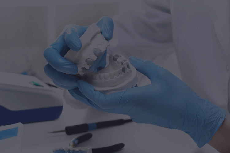 Alice St Dental photo 4