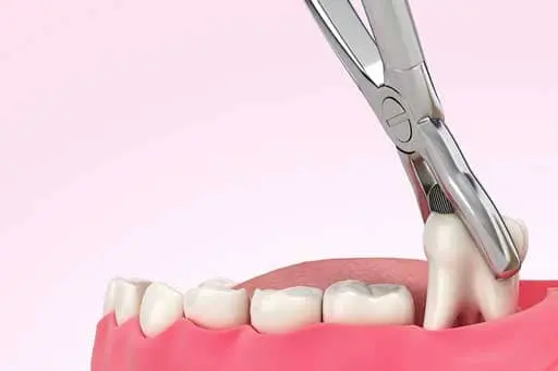 Auburn Dental Magic photo 3