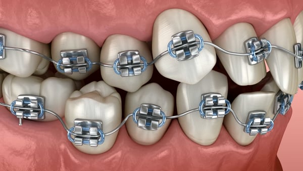 Northern Rivers Orthodontics photo 3