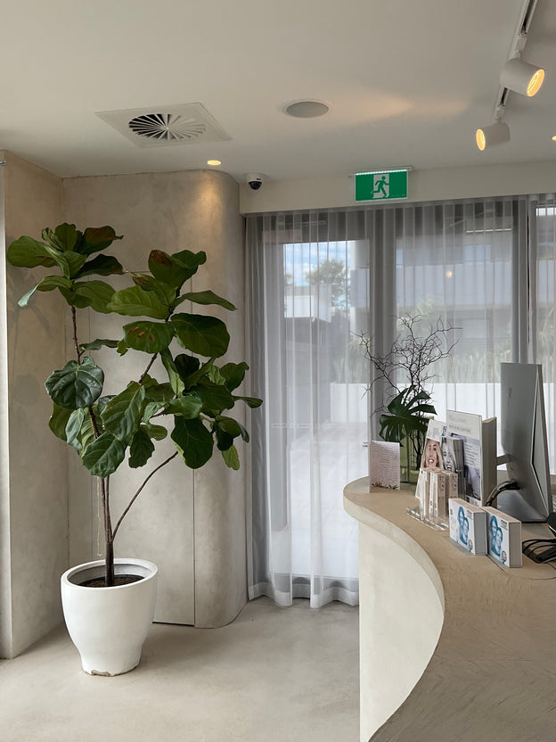 Martina Dental + Aesthetics photo 3