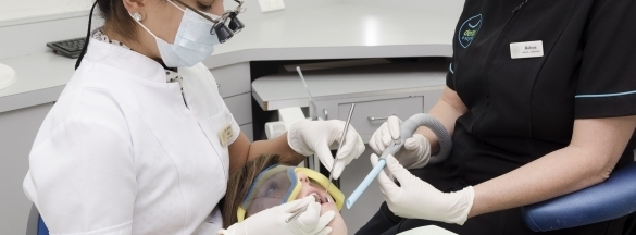 Dental O So Gentle photo 3
