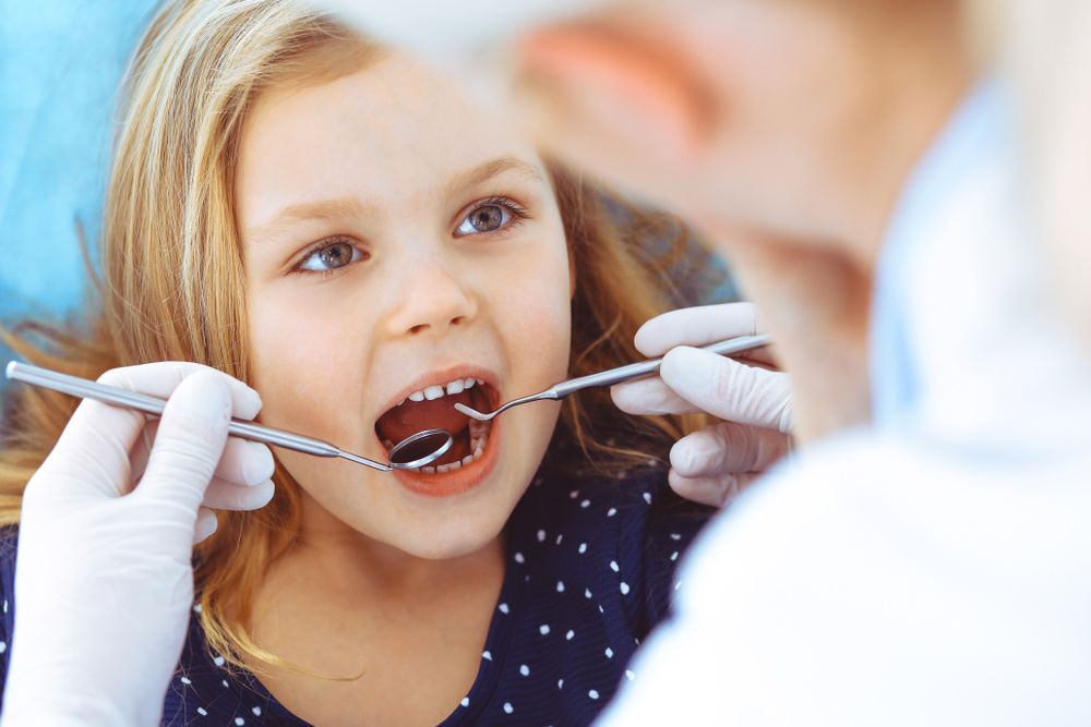 Berserker Dental photo 2