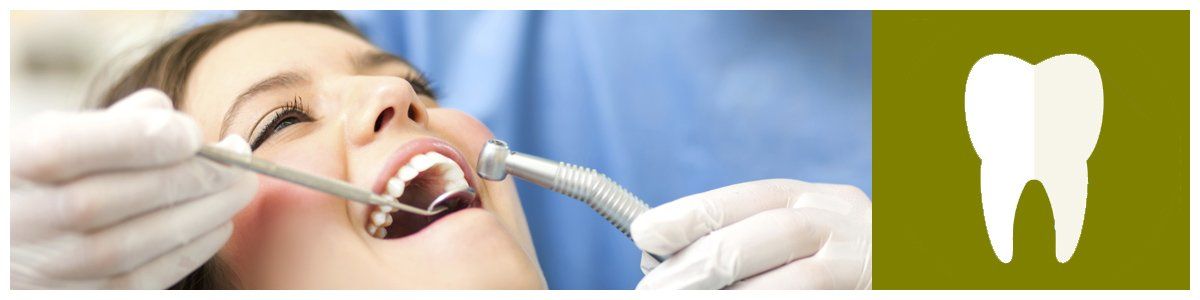 Bernard Shaw Dental Surgery photo 1