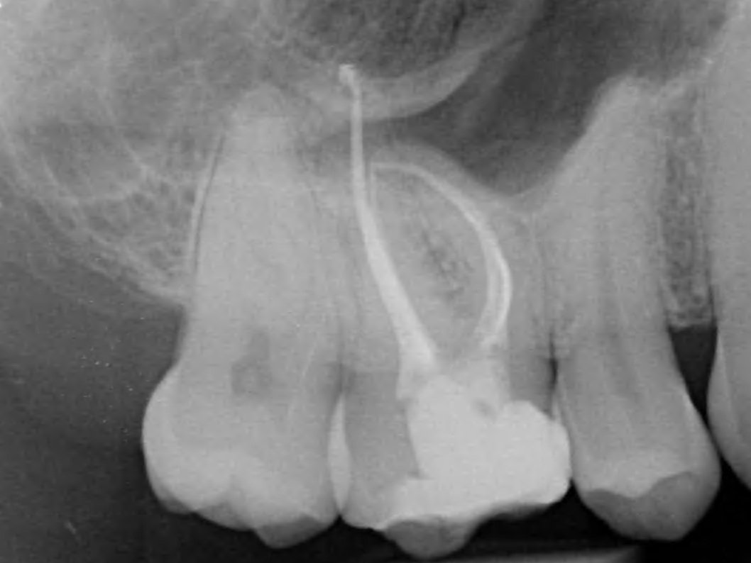 Endo Specialist Studio photo 3