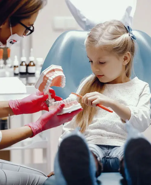 Bondi Dentistry photo 2