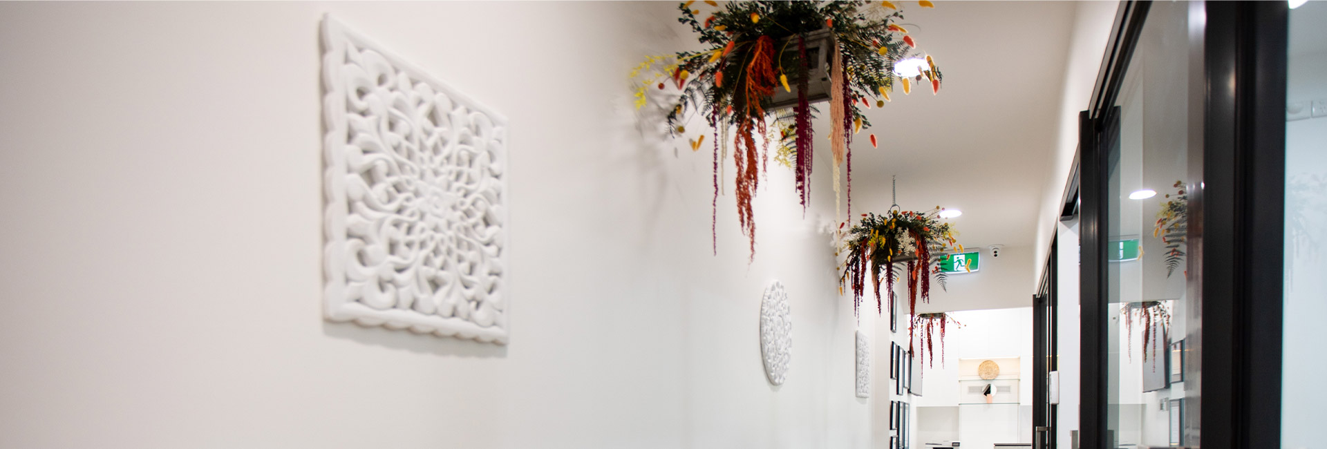 Zen Dental Studio photo 1