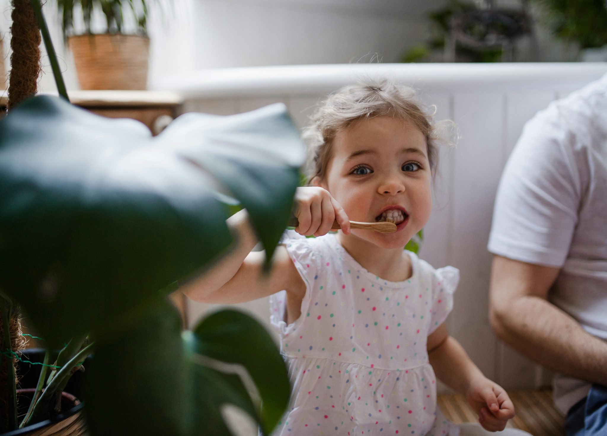 Brunswick Life Dental Clinic photo 2