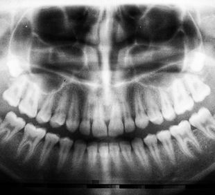 The Palms Implants and Periodontics photo 3