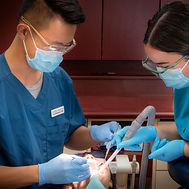 Livingston Dental Care photo 2