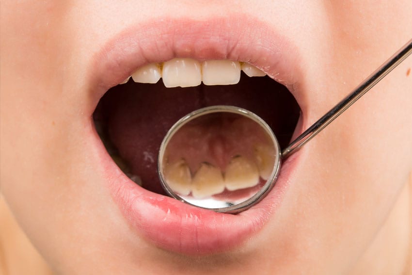 North Carlton Dental Group photo 3