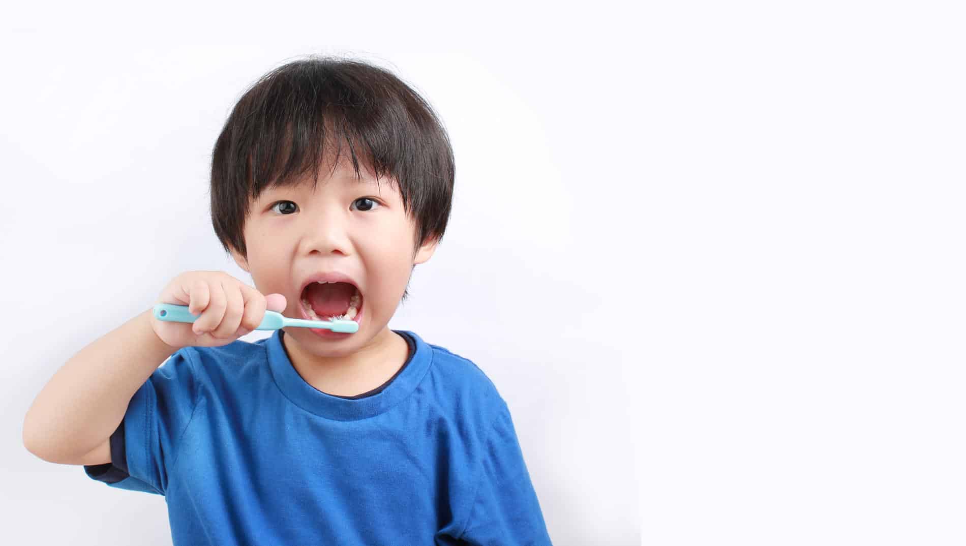 Your Dentist Darwin photo 1