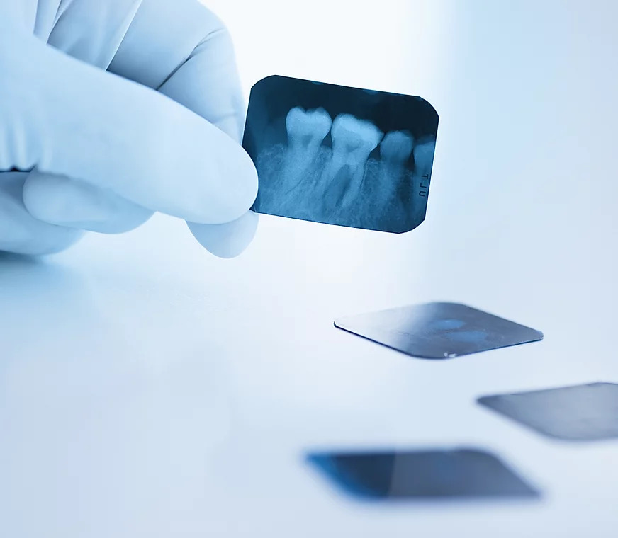 Chinchilla Family Dental photo 1