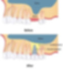 Mid North Coast Oral Surgery photo 2