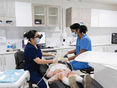 JC DENTAL photo 4