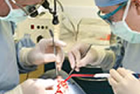 Croydon Family Dentistry photo 3