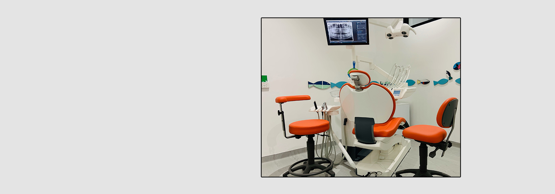 Kick Ass Dental photo 3