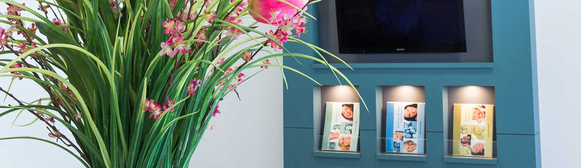 DBay Dental photo 3