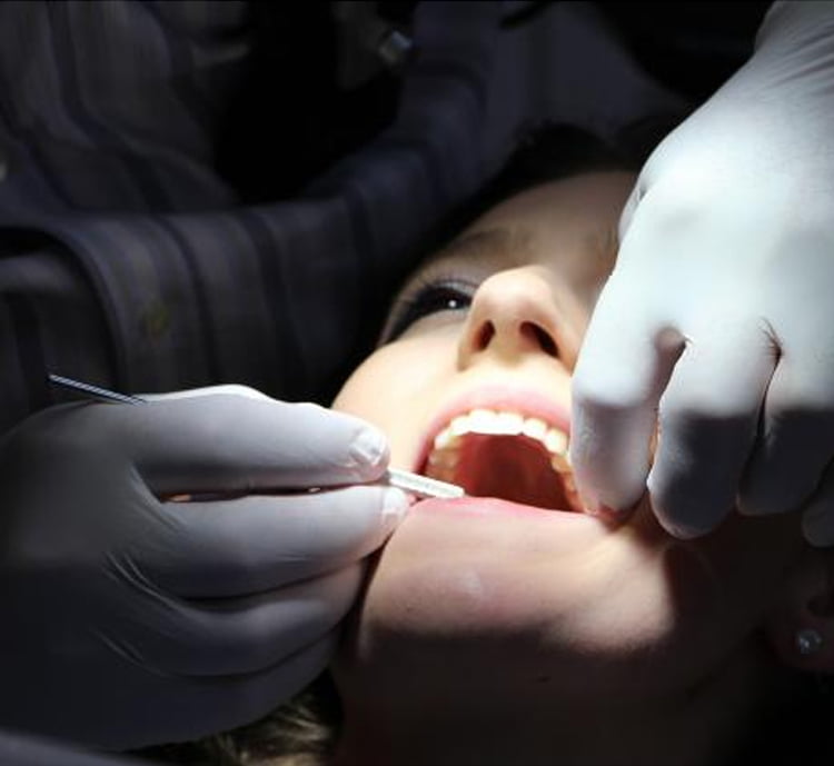 Holistic Dental Donvale photo 1
