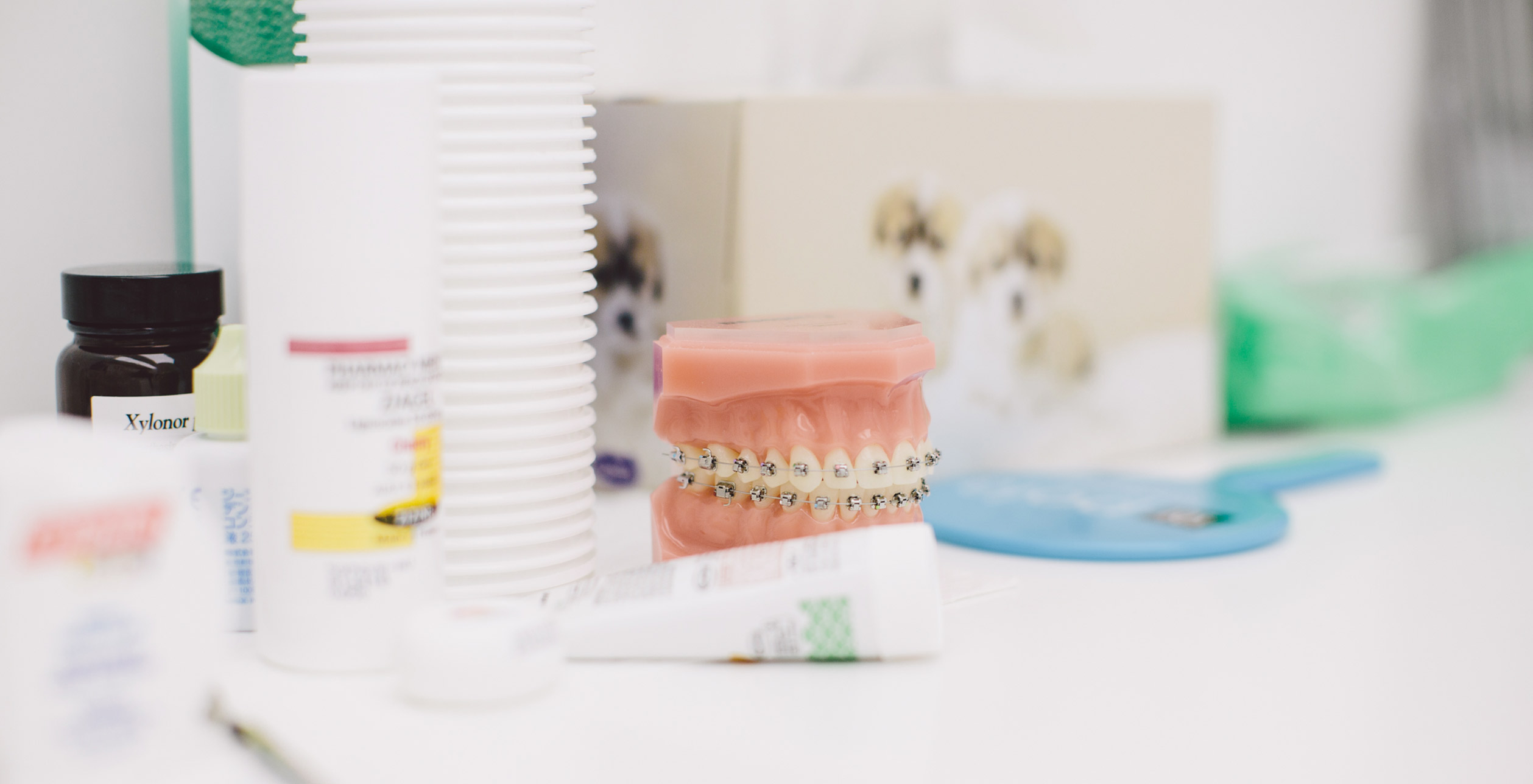 Dr Caroline Chung - Specialist Paediatric Dentist photo 4