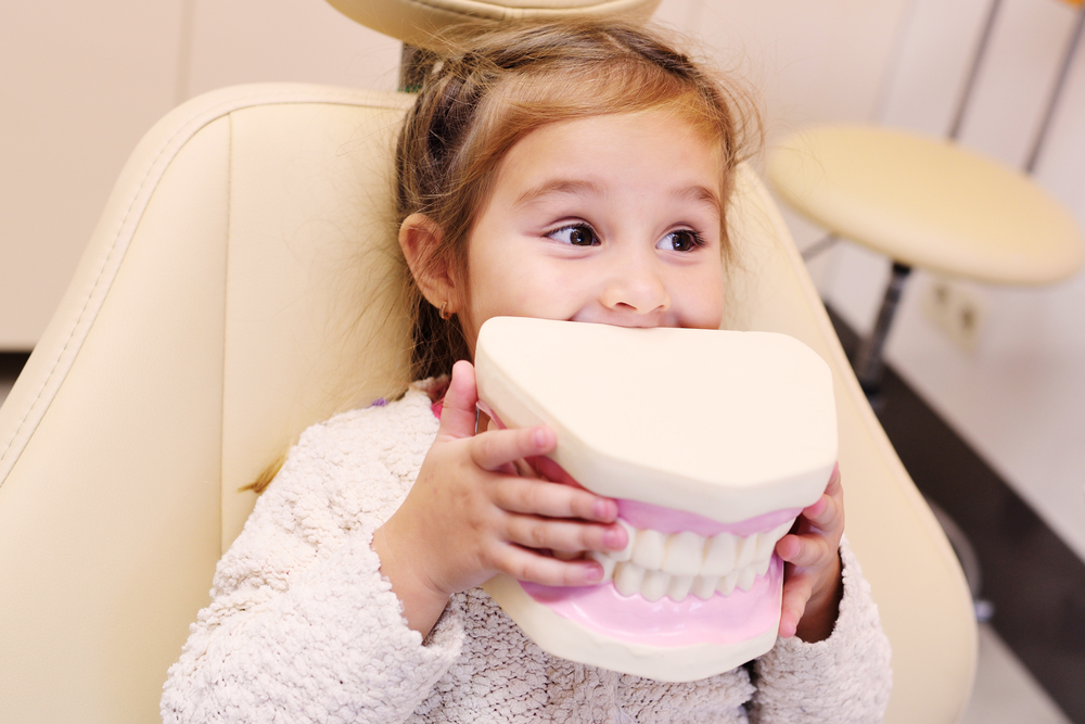 Smile Care Dentists photo 1
