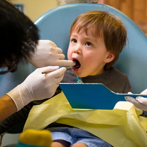 Dentists of Hawthorn photo 4