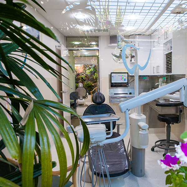 Limestone Dental Group photo 2