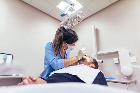 Kenmore Dentists photo 1