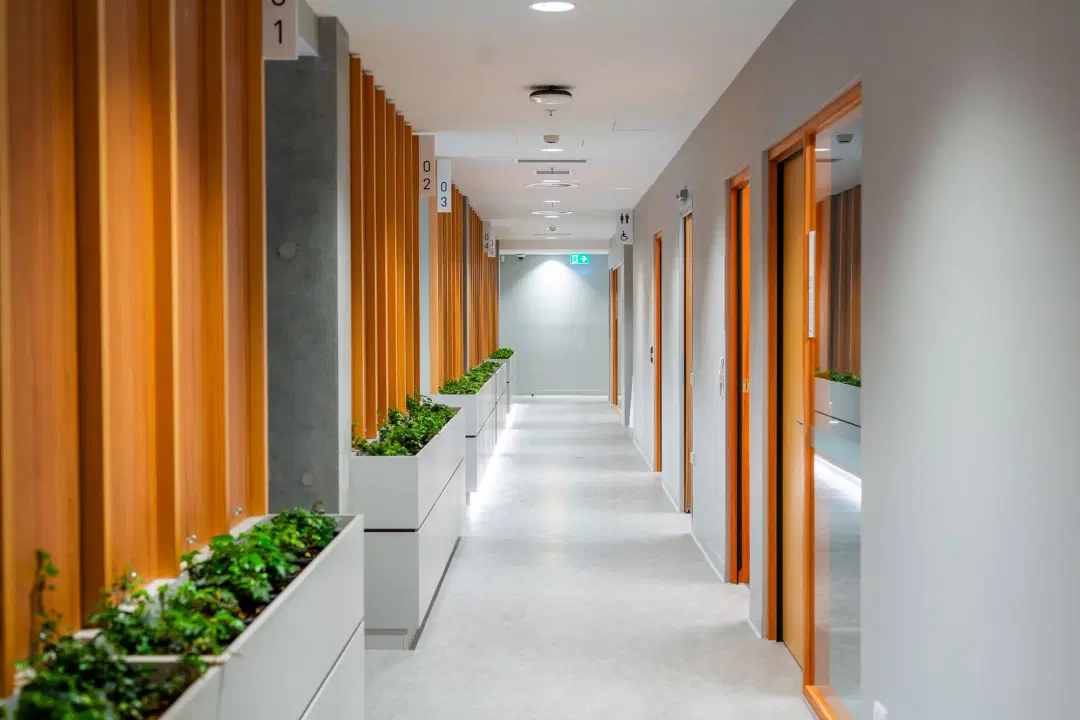 St Lukes Dental Launceston photo 1