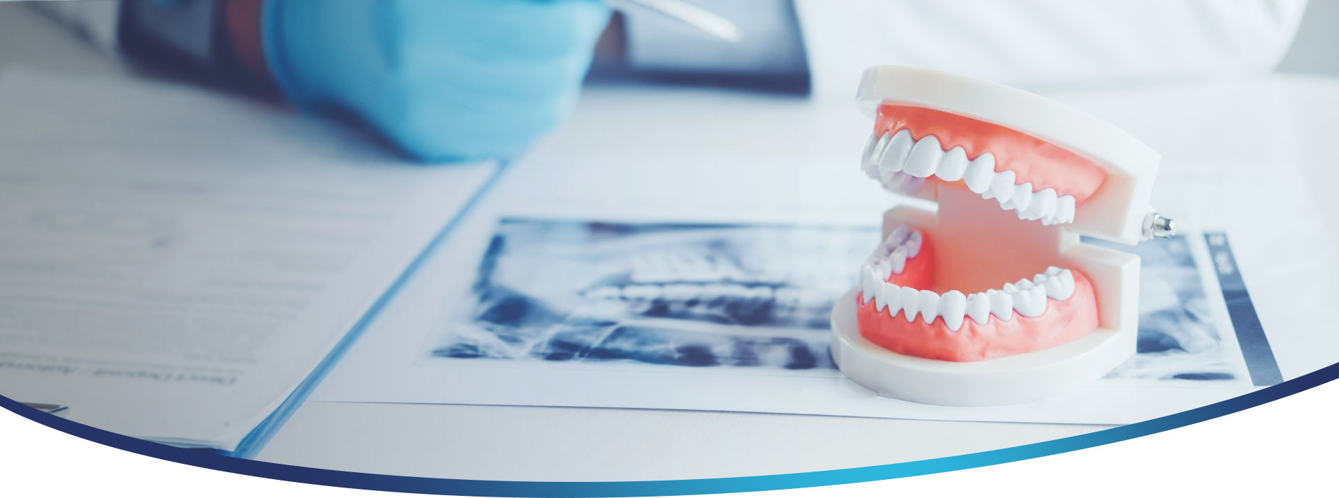 Orion's Dental: Dentist in Lilydale photo 4