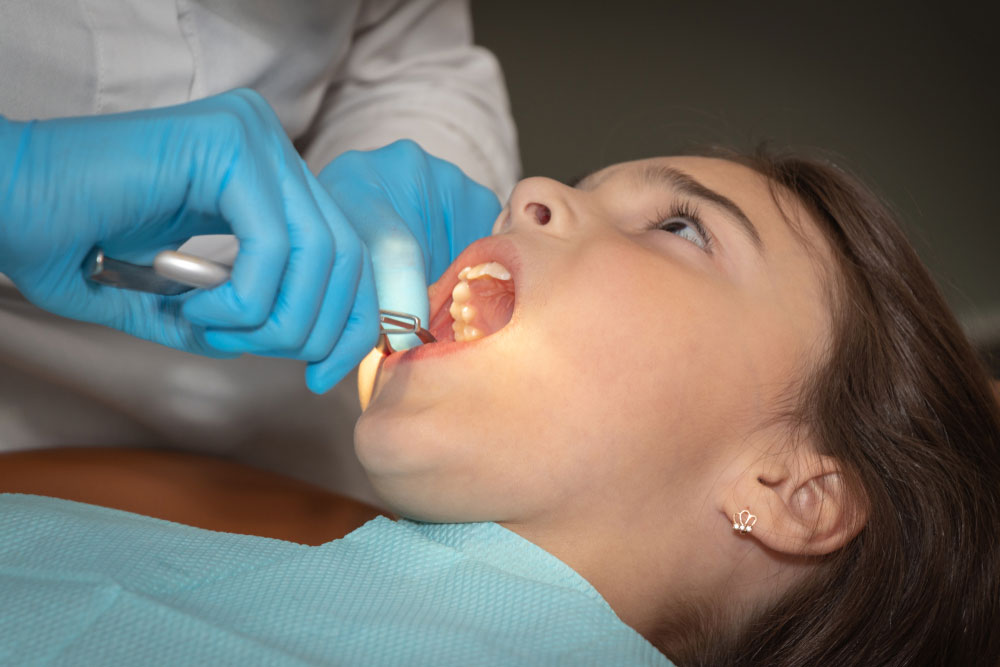 Manly Village Dental Surgery photo 2