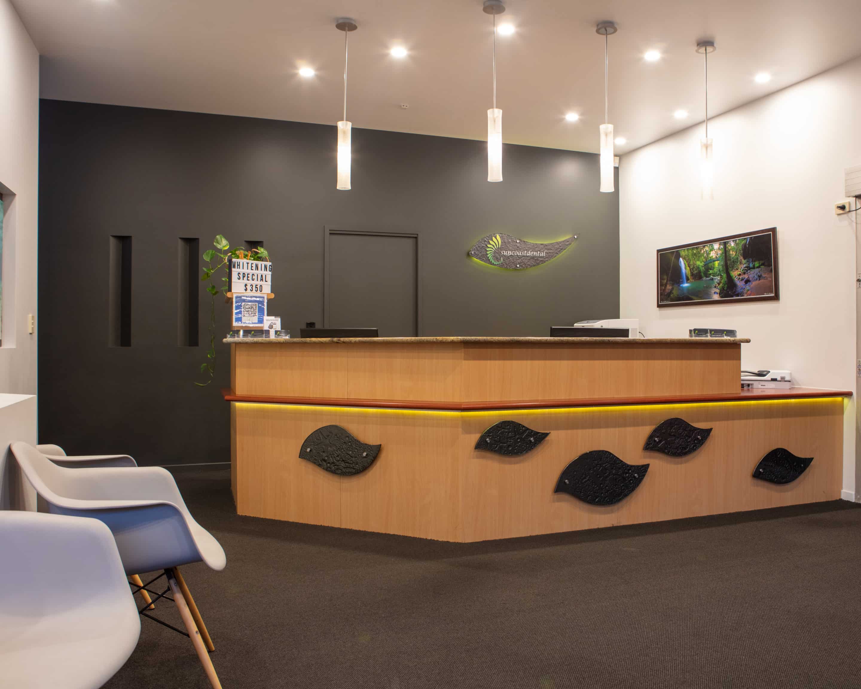 Suncoast Dental photo 4