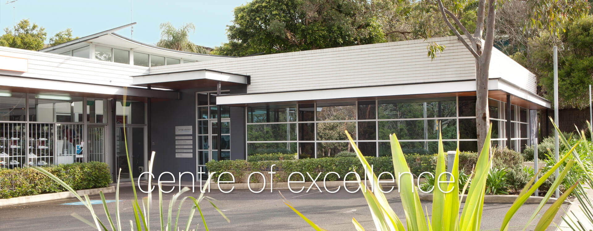 Dentist Mona Vale - The Smile Doctor photo 1