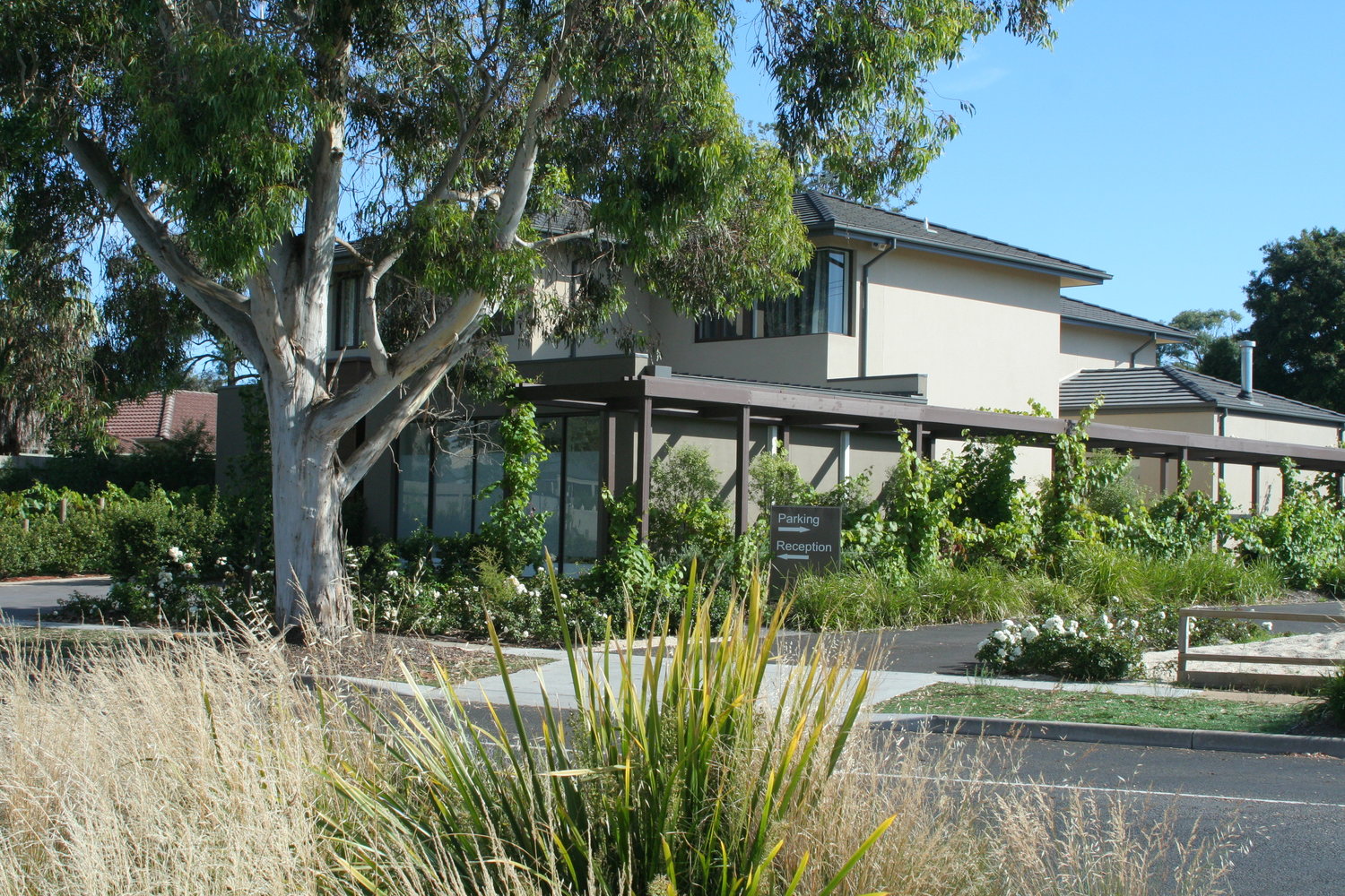 Mornington Dental photo 2