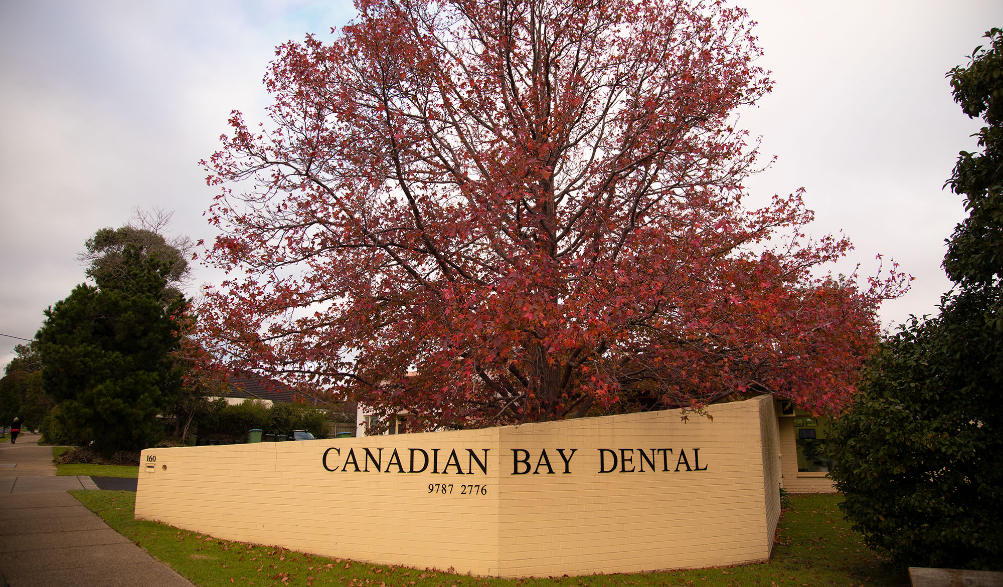 Canadian Bay Dental photo
