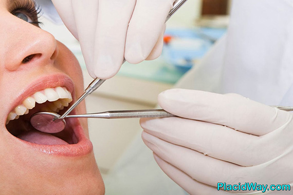 Dental Suite photo 2