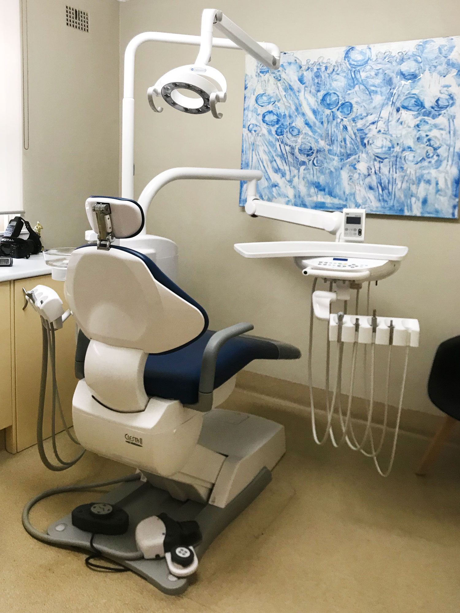 Panania Dental Surgery photo 4
