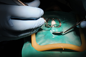 Pemulwuy Dental photo 4
