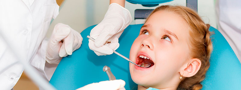 North Shore Paediatric Dentistry photo