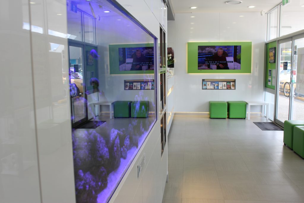 Dental Aspects - Browns Plains Dentist photo 3