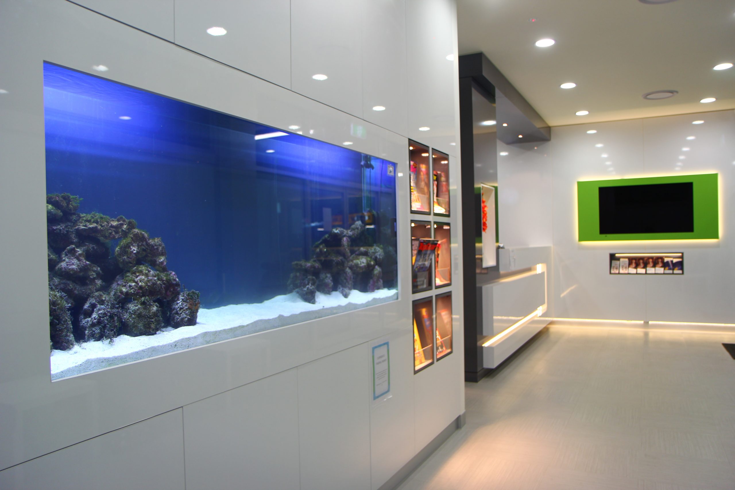 Dental Aspects - Browns Plains Dentist photo 1