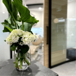 KIN Dental Studio photo 4
