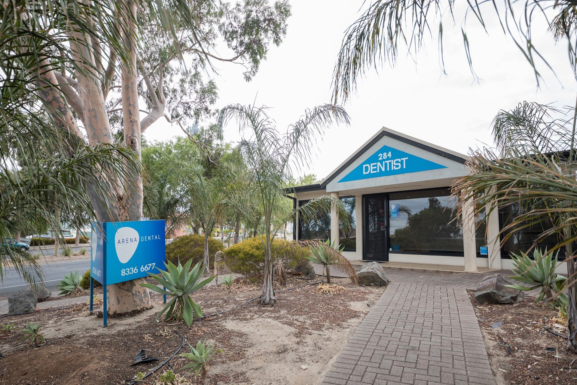 Arena Dental photo 1