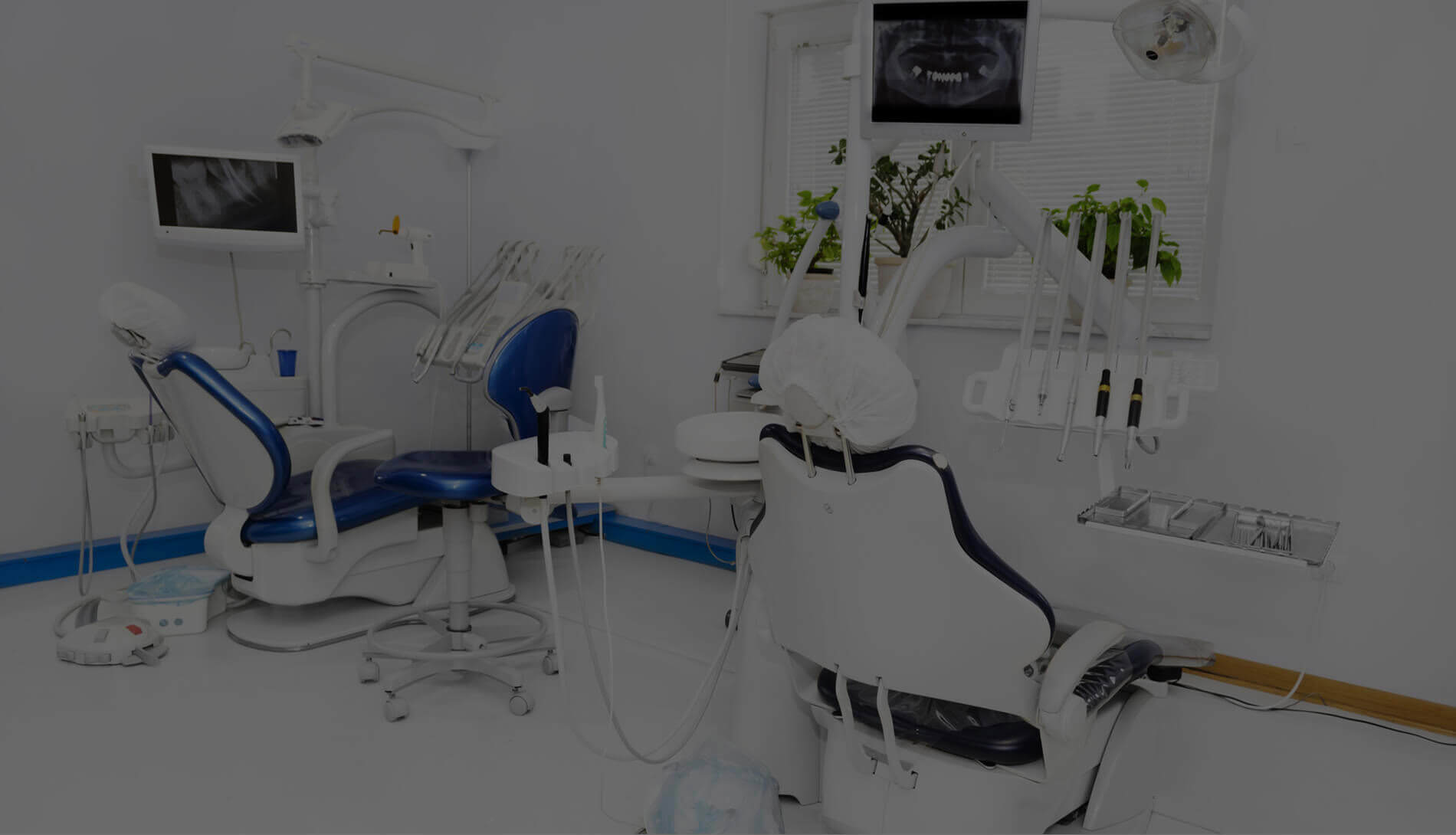 Seville Dental Clinic photo 1
