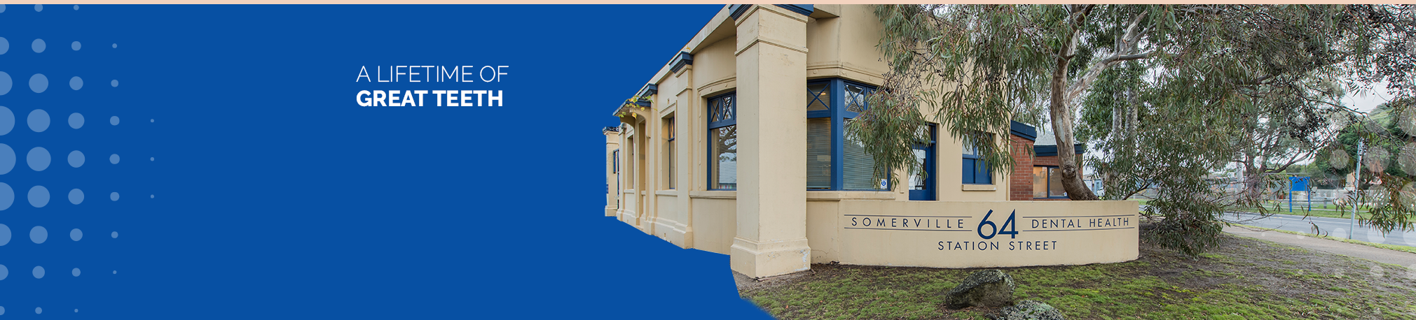 Somerville Dental Health photo 1