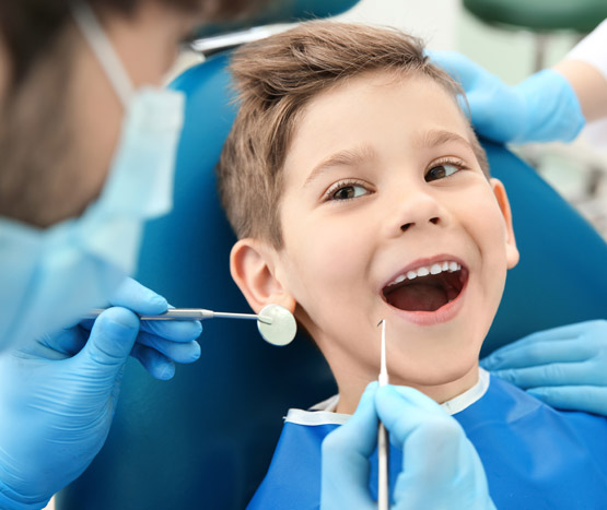 Elite Dental Adelaide photo 3