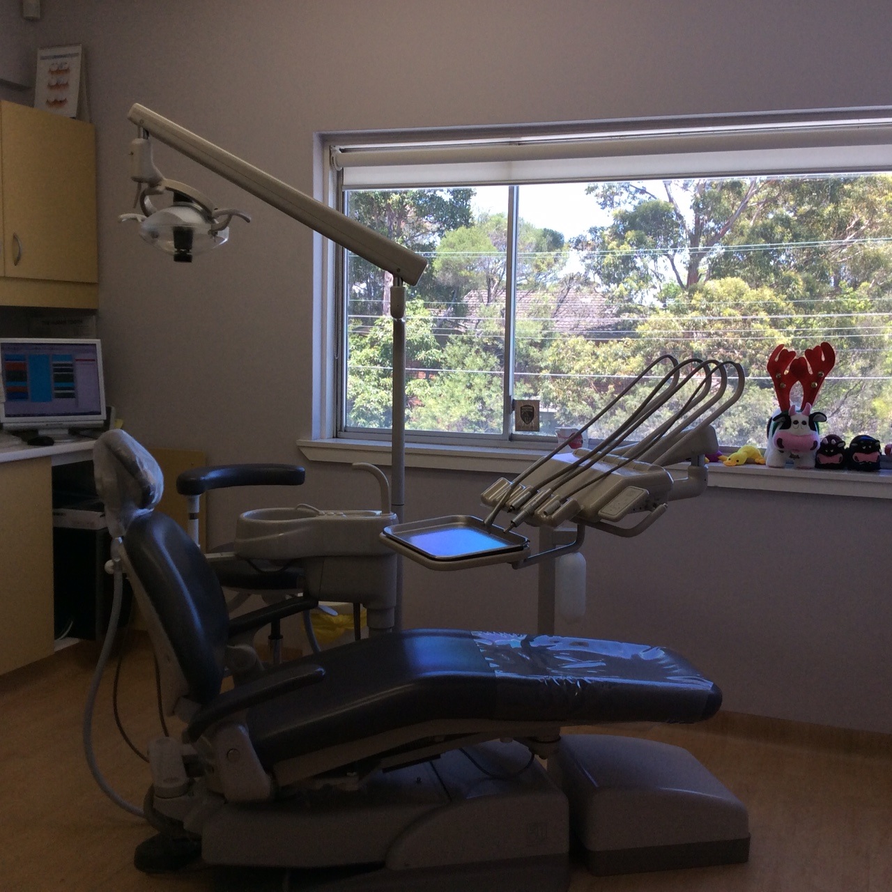 Terrey Hills Dental photo 2