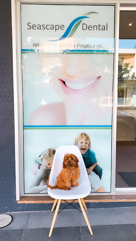 Seascape Dental Central Coast photo 3