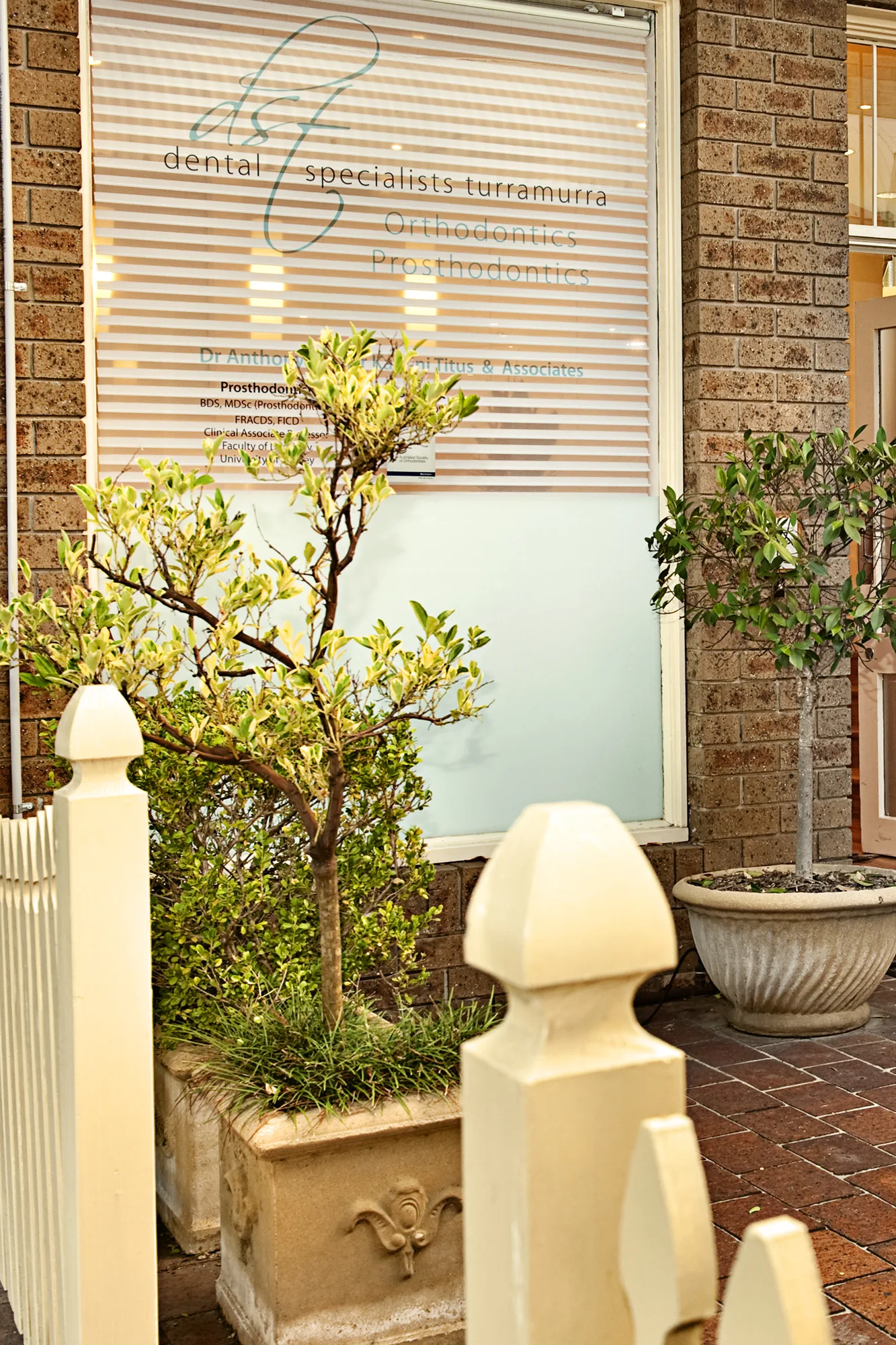 Dental Specialists of Turramurra photo 1